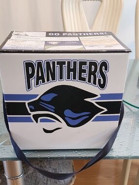 Panthers Team Logo Box Bag - Black & Blue. Insulated .⁰